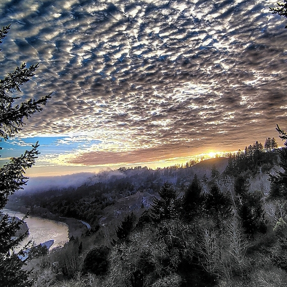 Meet your Posher, Shane - Picture 2 of 4